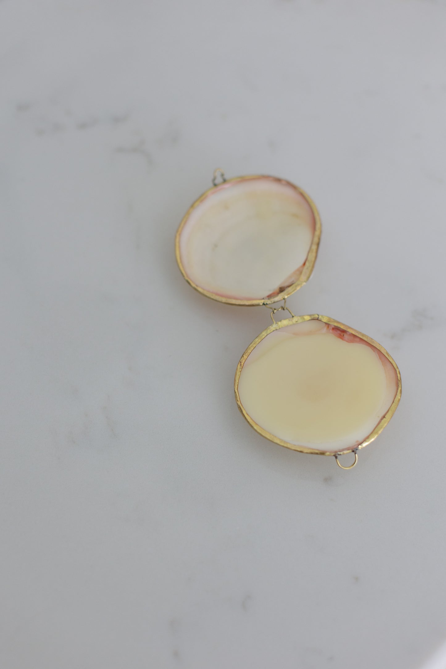 Image of the open seashell with the Lavender and Spearmint Lip Balm inside it, on a countertop
