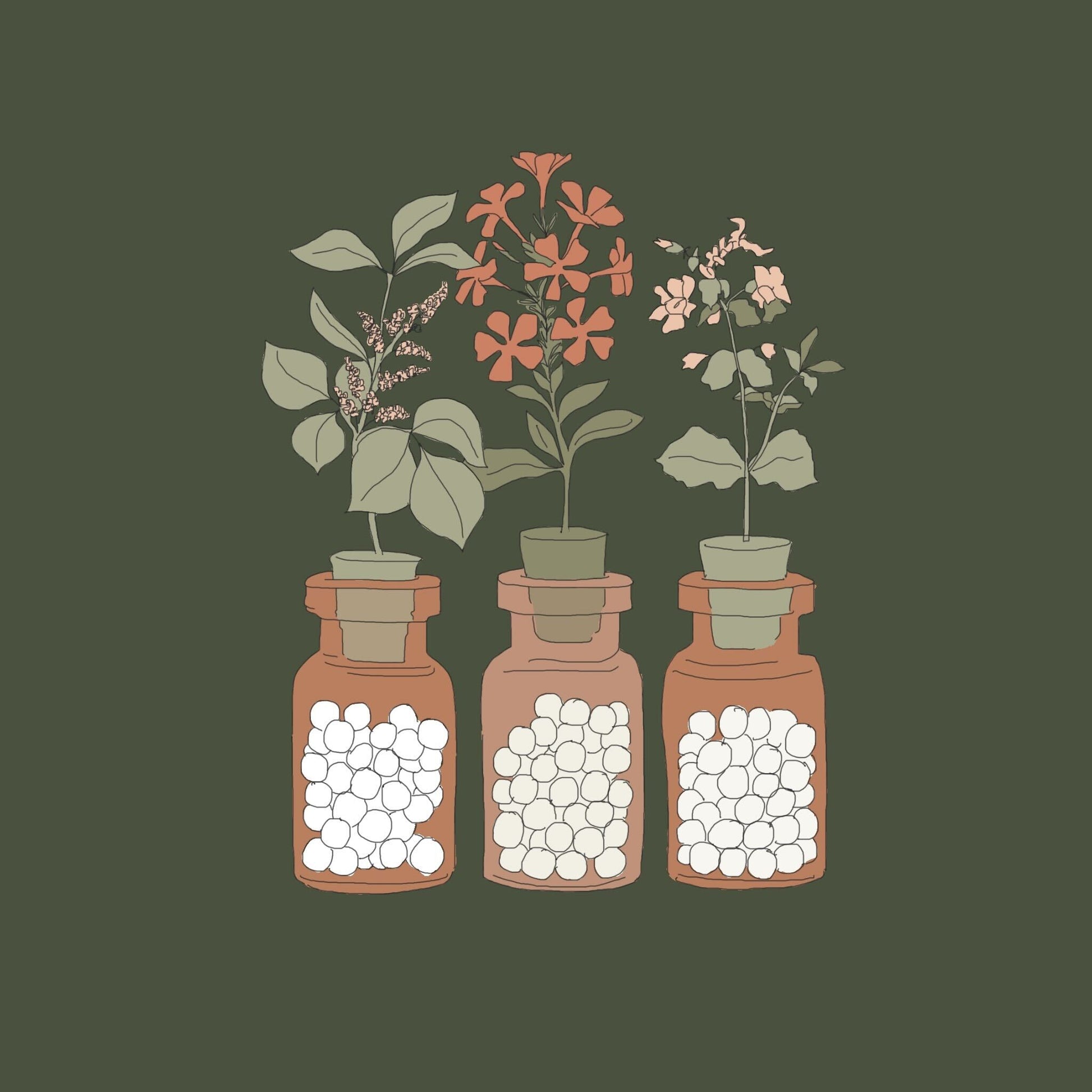 Homeopathic Collective Live Workshop Graphic