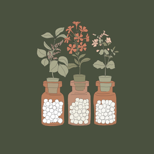 Homeopathic Collective Live Workshop Graphic