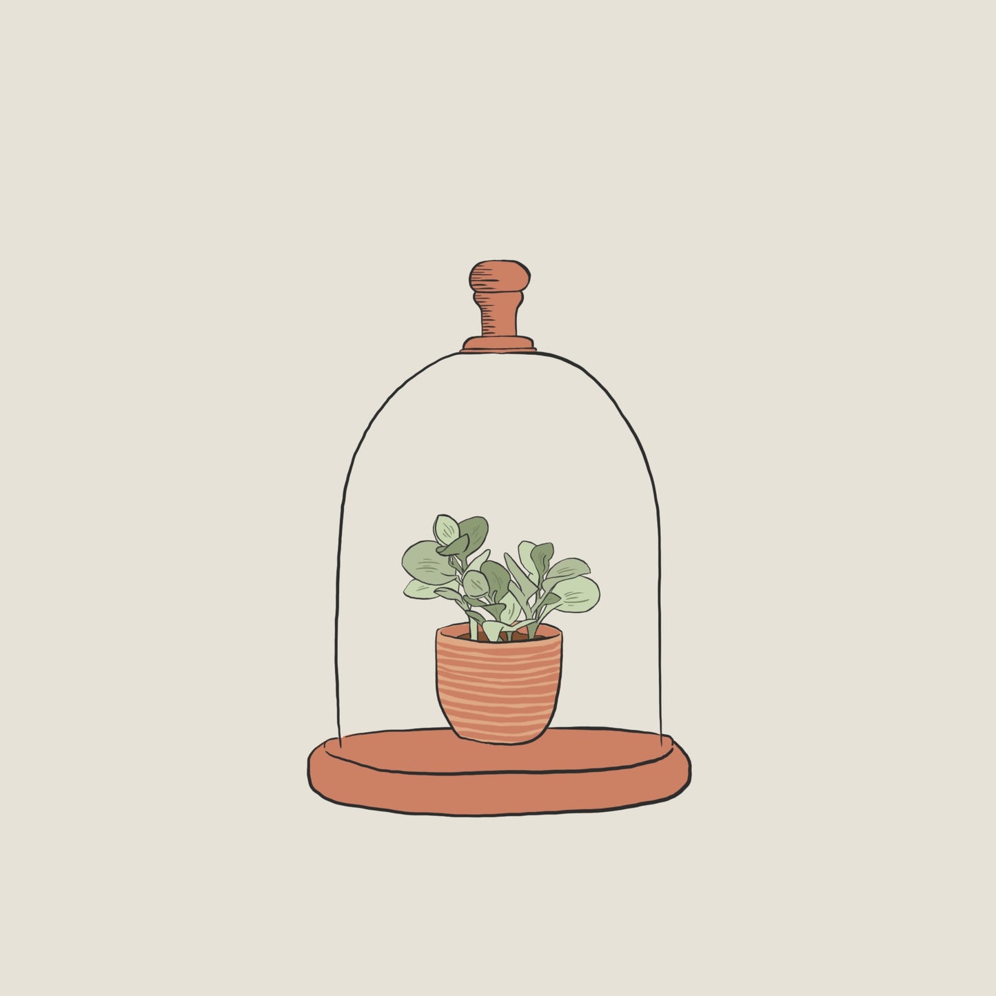 Wellness Collective: Natural Health Remedies for Children