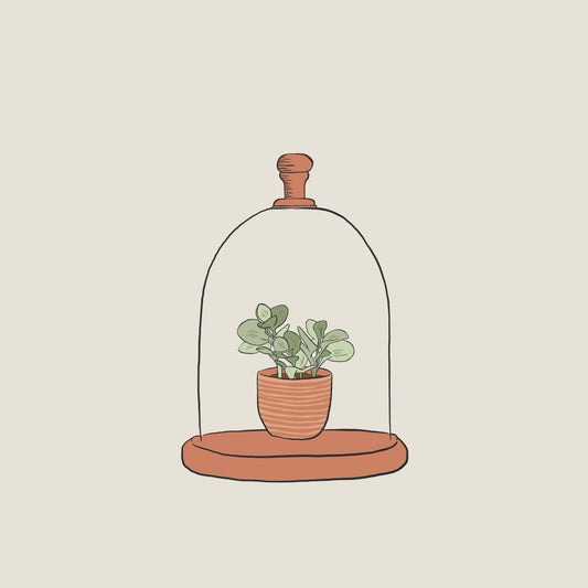 Wellness Collective: Natural Health Remedies for Children