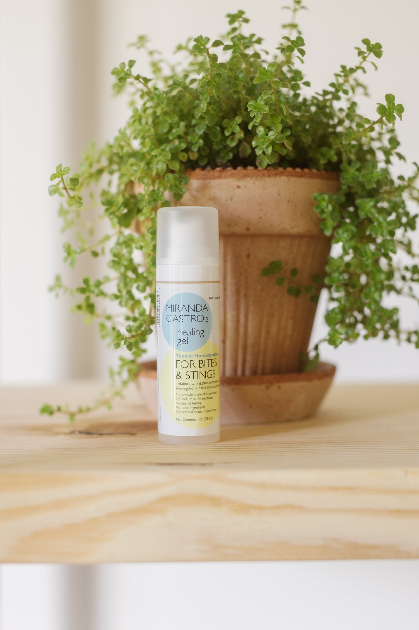 Image of the Bites & Stings Healing Gel on a table with a plant vase behind it