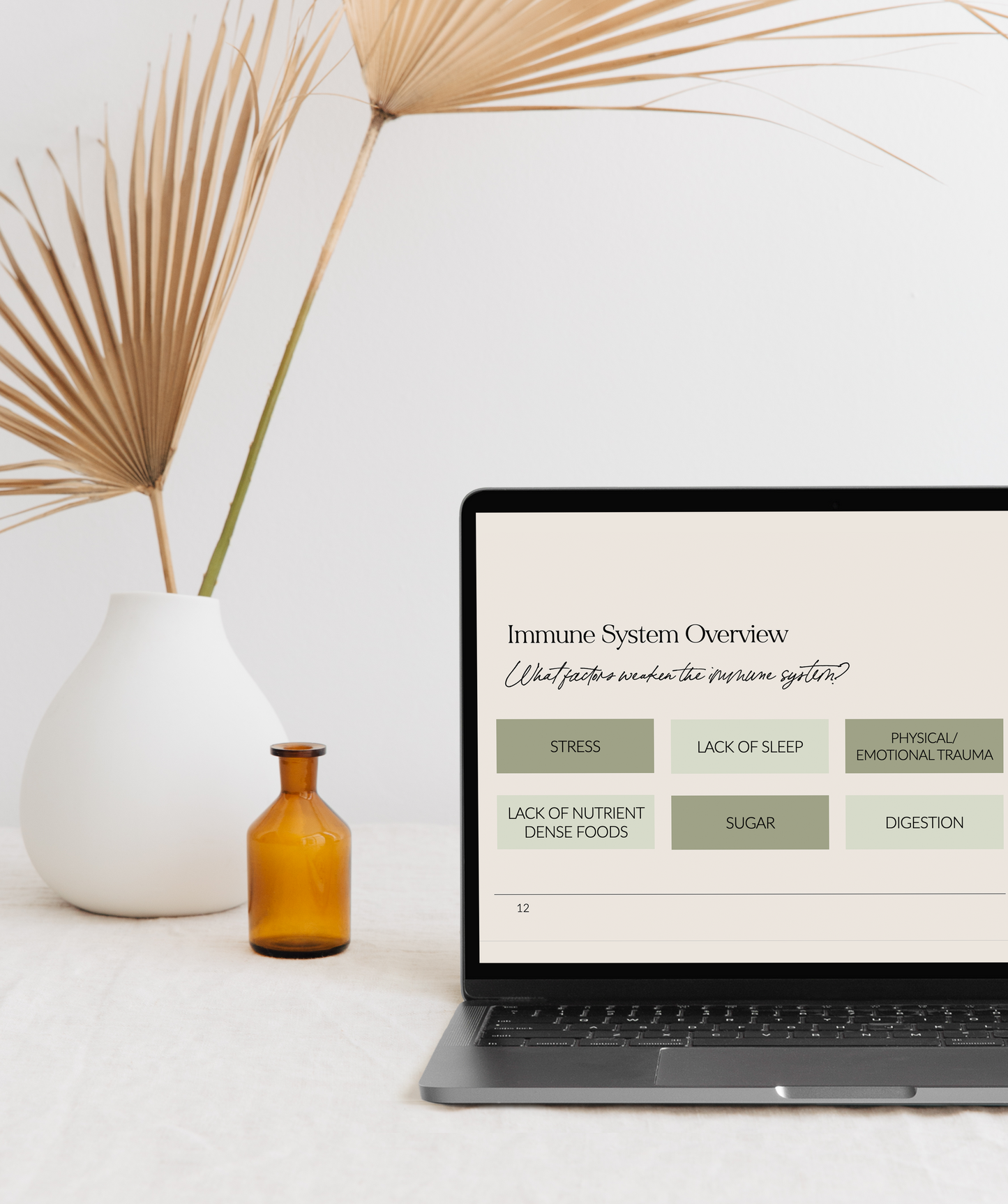 picture of a laptop showing the Immune System Overview